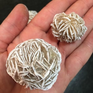 May include: Two desert rose crystal formations with a layered, petal-like structure. The minerals are beige and white with a crystalline, textured surface, displaying a cluster of sharp, thin, and flat blades arranged in a circular pattern.