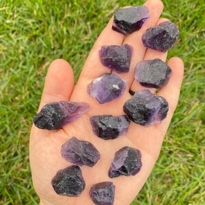 Pode incluir: Uma cole&ccedil;&atilde;o de cristais de fluorita roxa, alguns com um tom mais escuro, em v&aacute;rias formas e tamanhos. Os cristais est&atilde;o dispostos em uma m&atilde;o, mostrando sua beleza natural.