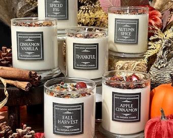 Handmade Fall and Halloween Candles - Autumn Scented Candle - Fall Candle Gift -  Soy Tealights - Pumpkin Jar Candle - Fall Crystal Candles