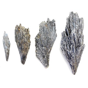 May include: Four different sizes of blue kyanite crystals, ranging from small to large, with a pointed tip and a fan-shaped base.