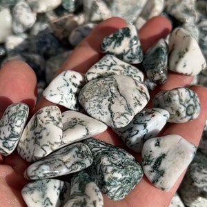 Tree Agate Tumbled Stone - Multiple Sizes Available - Tumbled Tree Agate Crystal - Polished Tree Agate Gemstone - Green Crystal image 1
