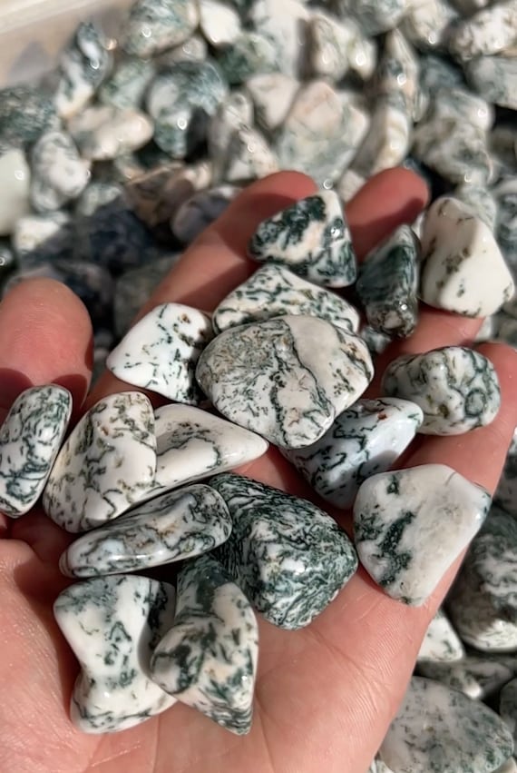 Tree Agate Tumbled Stone - Multiple Sizes Available - Tumbled Tree Agate Crystal - Polished Tree Agate Gemstone - Green Crystal
