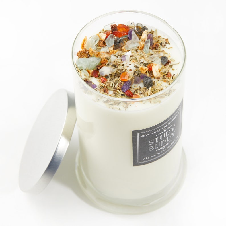 Study Buddy Candles Focus & concentration Crystal Herb Etsy