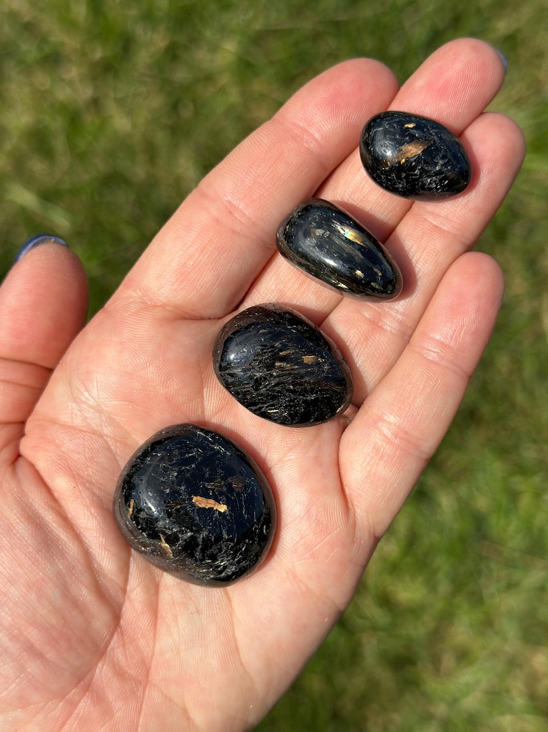 May include: Five polished black stones with gold flecks are displayed in a hand. The stones vary in size and shape, with a smooth, reflective surface. The background is blurred green grass.