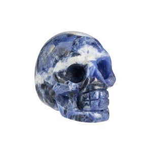 Sodalite Stone Skull - Sodalite Skull - Blue Skull Decor - Crystal Skull - Hand Carved Sodalite Skull - Sodalite Sculpture - Polished Skull