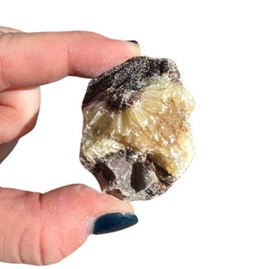 Rough Septarian Stone (0.5&quot; - 2.5&quot;) Raw Septarian Crystal - Septarian Raw - Crystals & Stones - Rough Septarian - Septarian Rough