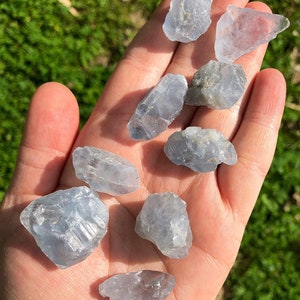 May include: A collection of eight light blue celestite crystal points. The crystals are rough and have a natural, unpolished look.