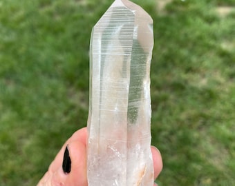 ブラジルのミナスジェライス州セラ・ド・カブラル産の本物のレムリアン