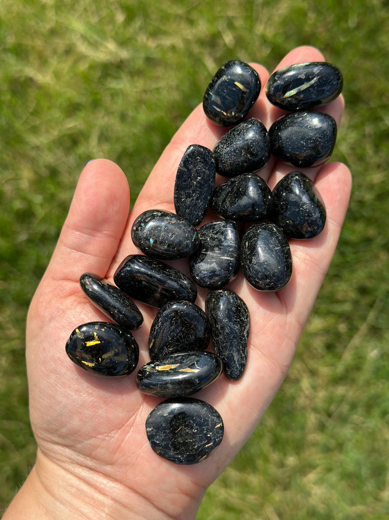 May include: A handful of polished black stones with gold flecks. The stones vary in size and shape, with a smooth, reflective surface. The background is blurred green grass, suggesting an outdoor setting. The stones are held in an open hand.