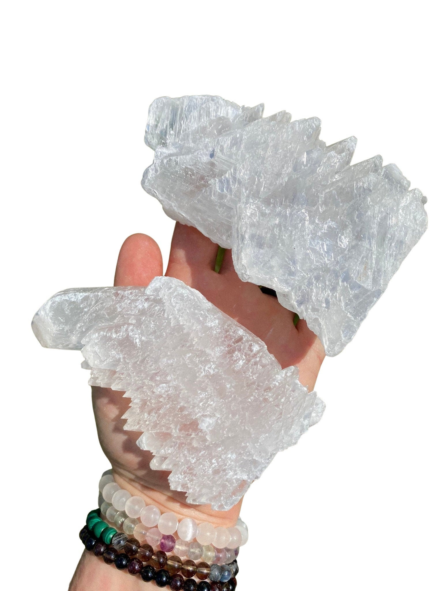 フィッシュテールセレナイト（1インチ - 7インチ） - 原石セレナイト