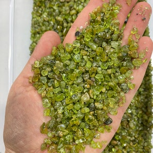 Bulk Peridot Polished Chips (5mm - 7mm) - Wholesale Peridot Crystal Chips - Polished Peridot Chips - Bulk Crystals - Peridot Gemstone Chips