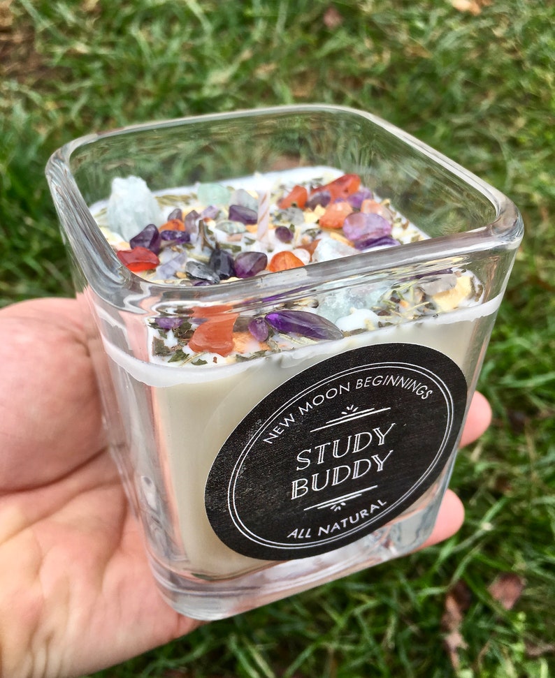 Study Buddy Candles Focus & concentration Crystal Herb Etsy