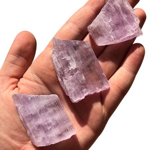 Puede incluir: Tres cristales de selenita en bruto, de color p&uacute;rpura claro, se sostienen en una mano abierta. Los cristales tienen un aspecto transl&uacute;cido y en capas y tama&ntilde;os variables. El fondo es blanco liso.