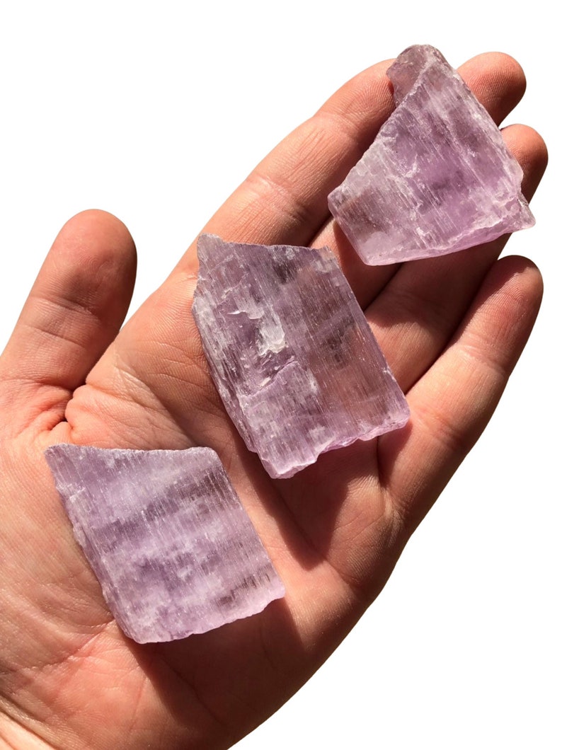 Puede incluir: Tres cristales de selenita en bruto, de color p&uacute;rpura claro, se sostienen en una mano abierta. Los cristales tienen un aspecto transl&uacute;cido y en capas y tama&ntilde;os variables. El fondo es blanco liso.