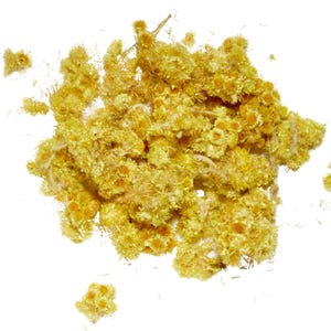 May include: A pile of dried, yellow flowers with small, clustered blooms and a fluffy texture. The flowers are a warm, golden yellow color, with some showing hints of orange in the center. The background is plain white.