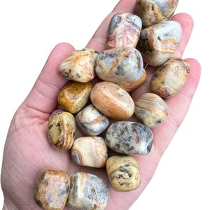 May include: A collection of tumbled agate stones in shades of brown, yellow, and gray with intricate patterns. The stones are smooth and polished, with a natural, earthy look.