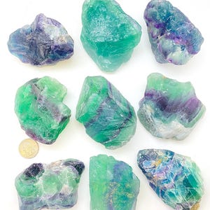 Puede incluir: Nueve espec&iacute;menes de cristal de fluorita verde y p&uacute;rpura de diferentes tama&ntilde;os y formas. Los cristales tienen una textura natural y rugosa y est&aacute;n dispuestos sobre un fondo blanco.