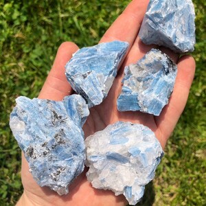 May include: Four rough, blue kyanite crystal specimens with a white, crystalline matrix. The crystals are clustered together in a hand.