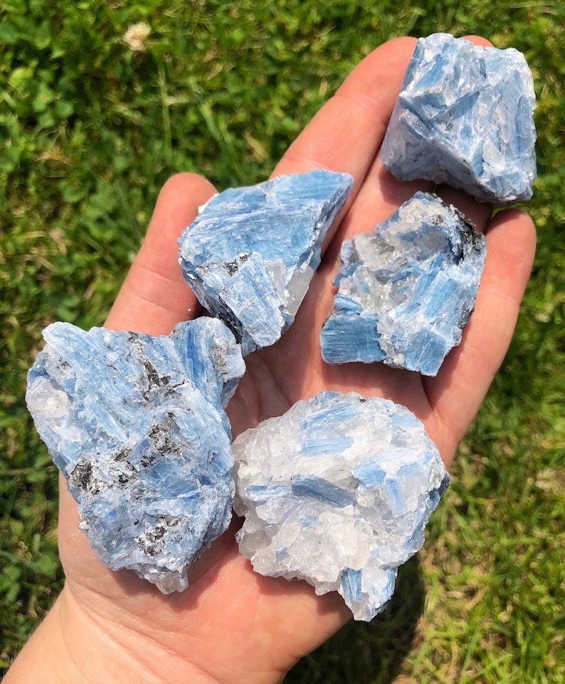 May include: Four rough, blue kyanite crystal specimens with a white, crystalline matrix. The crystals are clustered together in a hand.