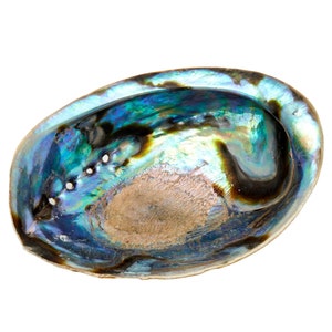Abalone Shell (5&quot;-6&quot;) - Large Abalone Shell - Rainbow Abalone Shell - Natural Abalone Shell Bowl - Crystal Holder - Cleansing Stick Holder