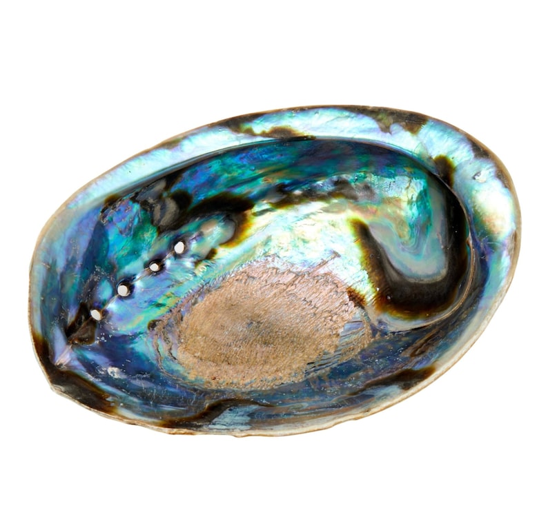 Abalone Shell 56 Large Abalone Shell Rainbow Abalone Shell Natural Abalone Shell Bowl Crystal Holder Cleansing Stick Holder image 1