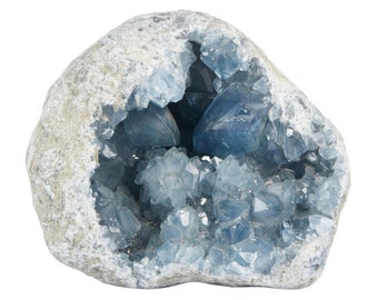 May include: A geode with a rough, gray exterior encasing a cluster of light blue celestite crystals. The crystals are sharply pointed and densely packed, creating a sparkling effect. The geode is a natural, organic shape.