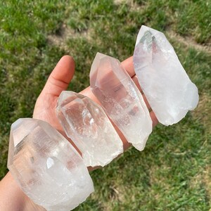 May include: Four clear quartz crystal points, also known as rock crystals, are arranged in a row on a hand. The crystals are various sizes and shapes, with some having a more pointed tip than others.