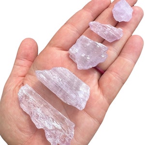 Puede incluir: Una mano sostiene varios trozos de cristales de cianita en bruto, de color p&uacute;rpura claro. Los cristales tienen una textura fibrosa y bordes naturales irregulares. Los cristales var&iacute;an en tama&ntilde;o y forma.