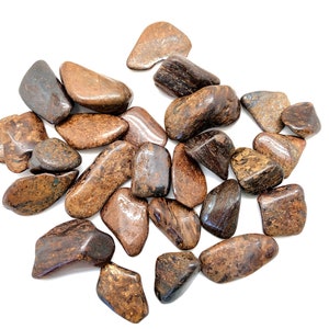 Bronzite Tumbled Stone - Multiple Sizes Available - Tumbled Bronzite Crystal - Polished Bronzite Gemstone - Protection and Grounding Stone