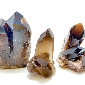 Standing Smoky Quartz Point Cluster (75g - 500g) - Raw Smoky Quartz Points - A-Grade Collector Quality Clusters - Natural Smoky Quartz