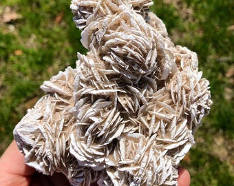 Puede incluir: Un grupo de cristales de rosa del desierto, sostenido en una mano, sobre un fondo verde borroso. La formación cristalina presenta estructuras en capas, en forma de pétalos, en tonos beige y blanco, creando una apariencia texturizada. La formación mineral natural está enfocada.
