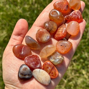 May include: A collection of polished gemstones in shades of orange, red, brown, and cream. The stones vary in shape and size, with smooth, rounded surfaces. The gemstones are held in an open hand against a backdrop of green grass.