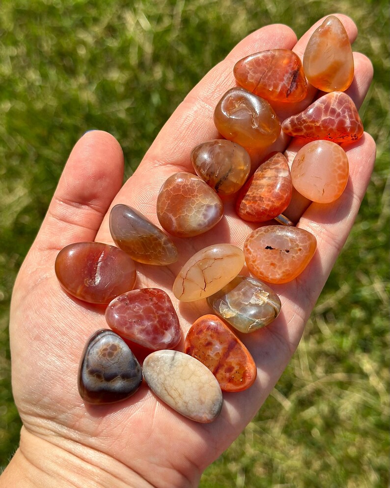 May include: A collection of polished gemstones in shades of orange, red, brown, and cream. The stones vary in shape and size, with smooth, rounded surfaces. The gemstones are held in an open hand against a backdrop of green grass.