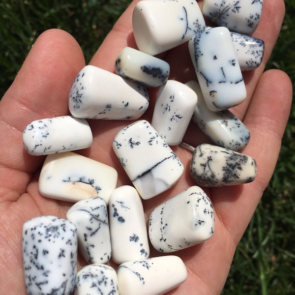 Dendritic Agate Tumbled Stone - Multiple Sizes Available - Polished Dendritic Agate - Merlinite Crystal - Tumbled Natural Dendrite Stone