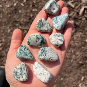 Tree Agate Tumbled Stone - Multiple Sizes Available - Tumbled Tree Agate Crystal - Polished Tree Agate Gemstone - Green Crystal image 6