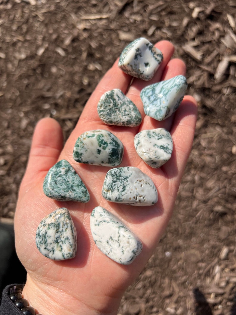 Tree Agate Tumbled Stone - Multiple Sizes Available - Tumbled Tree Agate Crystal - Polished Tree Agate Gemstone - Green Crystal image 6