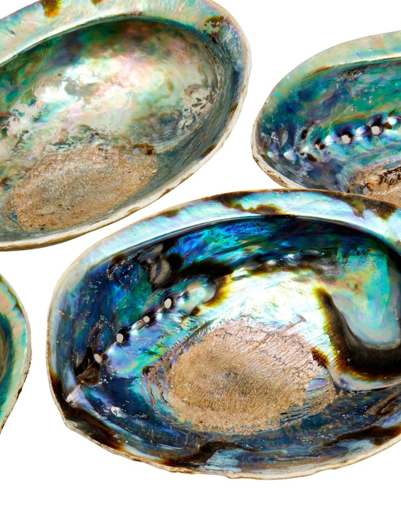 Abalone Shell 56 Large Abalone Shell Rainbow Abalone Shell Natural Abalone Shell Bowl Crystal Holder Cleansing Stick Holder image 2