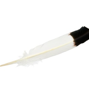 Decorative Feather - Size 10&quot;-12&quot; - Turkey Feather - Imitation Eagle Feather - Dyed Feather - Eagle Imitation - Feather for Crafts - 70% Off