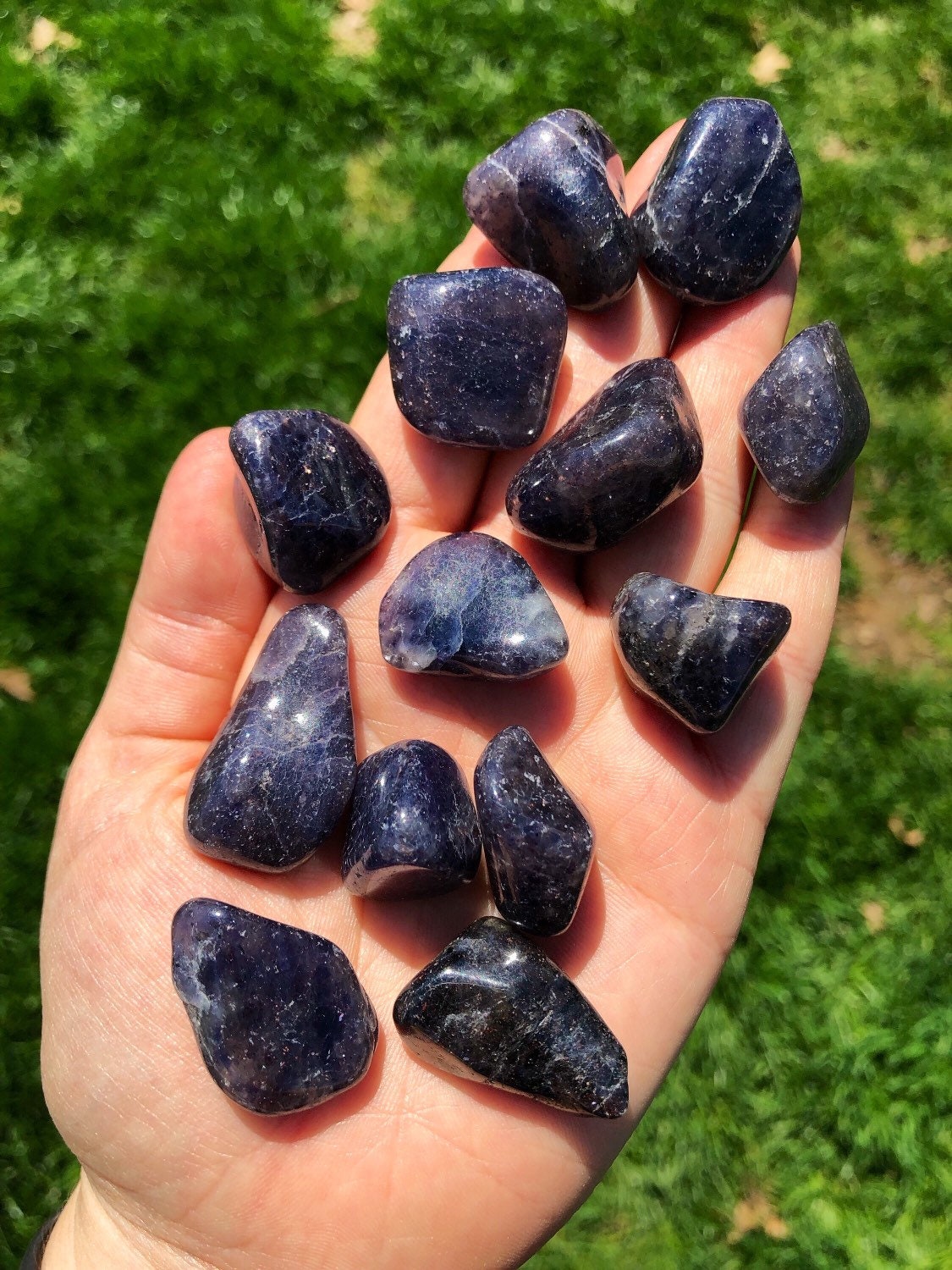 Black iolite discount
