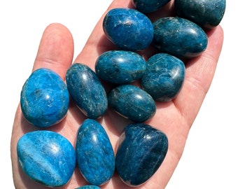 May include: A collection of tumbled blue apatite stones. The stones are smooth and polished, with a deep blue color. They are arranged in a hand, with the largest stone at the top.