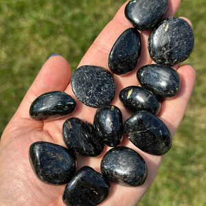 May include: A handful of polished black stones with a glossy sheen. The stones vary in size and shape, with some showing subtle gold or white veining. The background is blurred green grass.
