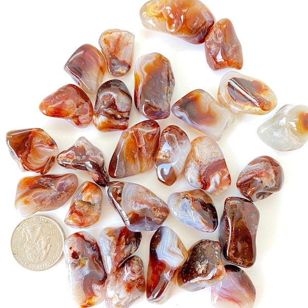 Mexican Fire Agate Stone (0.5" - 1.75") Fire Agate Crystal Polished - Tumbled Mexican Fire Agate - Tumbled Healing Crystals & Stones