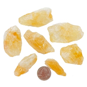 Puede incluir: Siete cristales de calcita en bruto, sin pulir, de color amarillo anaranjado, de diferentes tamaños y formas. Los cristales están dispuestos sobre un fondo blanco. Se incluye una moneda de euro para la escala.