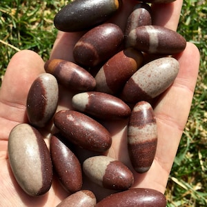 Piedra pulida de Shiva Lingam - Varios tamaños disponibles - Huevo pequeño de Shiva Lingam - Cristal pulido de Shiva Lingam - Shiva Lingam de la India