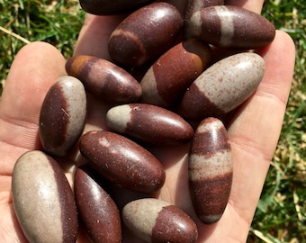 Shiva Lingam Tumbled Stone - Multiple Sizes Available - Small Shiva Lingam Egg - Tumbled Shiva Lingam Crystal - Shiva Lingam from India