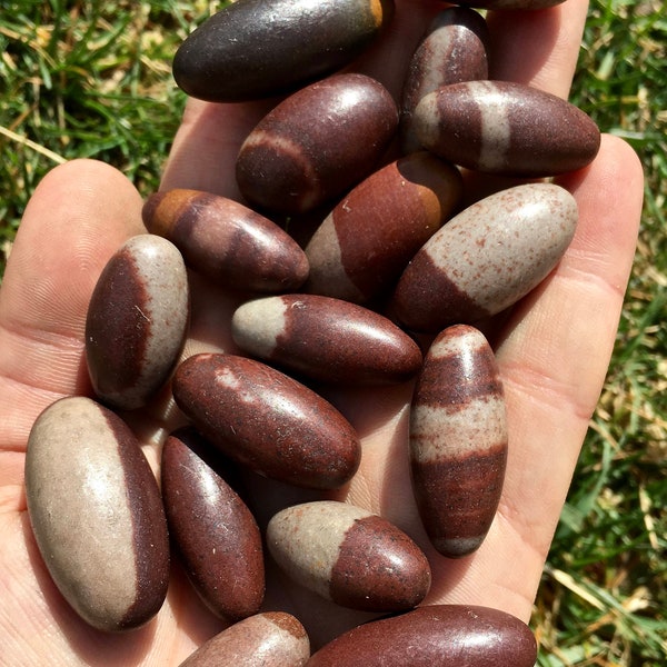 Shiva Lingam Tumbled Stone - Plusieurs tailles disponibles - Petit œuf de Shiva Lingam - Cristal de Shiva Lingam dégringolé - Shiva Lingam d'Inde