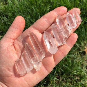 May include: A collection of ten clear quartz crystal points of varying sizes, displayed on a hand against a green grassy background.