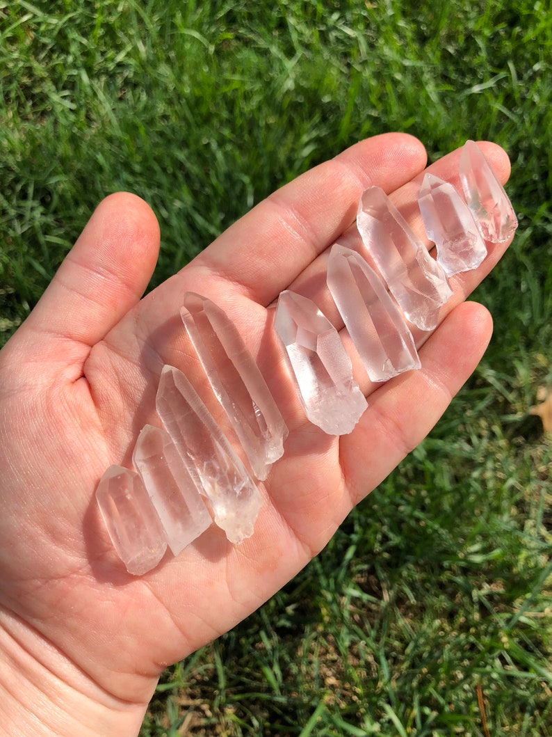 May include: A collection of ten clear quartz crystal points of varying sizes, displayed on a hand against a green grassy background.
