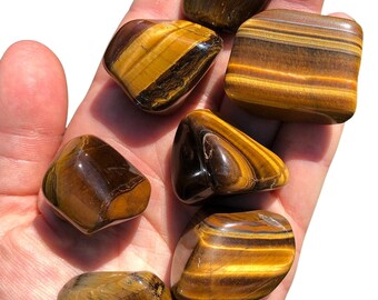 mookaitedecor 1/2 lb Tiger's Eye Tumbled Stone Chips Crushed Quartz Crystals and Healing Stones with Chakra Bag mookaitedecor 1/2 lb Tiger's Eye Tumbled Stone Chips Crushed Quartz Crystals and Healing Stones with Chakra Bag