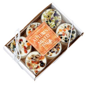 Blandade 6-pack med höst- och Halloween-värmeljus - Provpaket med höstljus - Höstljusset - Doftande sojaljus för hösten - Handgjorda!